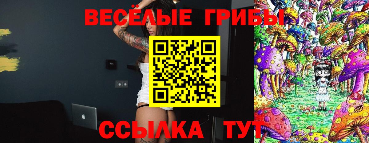 Борисоглебск  Псилоцибиновые грибы MAGIC MUSHROOMS  Вход с VPN  Галлюциногенные грибы Cubensis 